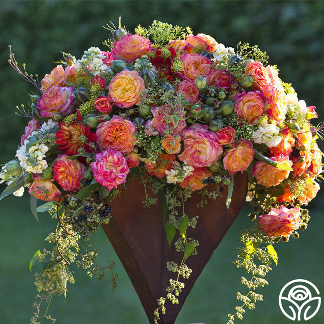  Garden Delight™