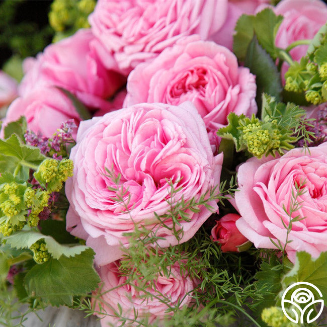  Parfuma® Summer Romance